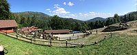 IMG_5396.JPG