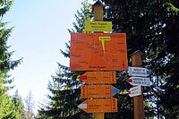 Picoelektryki-2019-7.jpg